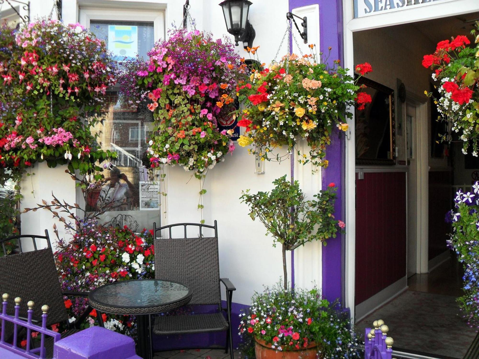 Seashells Guest House Great Yarmouth Dış mekan fotoğraf